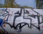 FLS