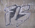 FLS