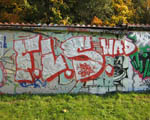 FLS