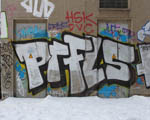 FLS