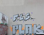 FLS