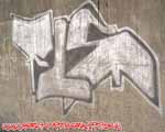 FLS