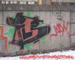 FLS