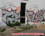 FLS