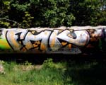 FMK