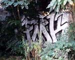FMK