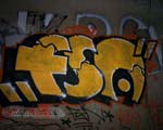 FSN