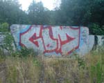 GDM