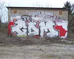 GDM