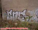 GNS (MITTE)