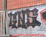 GNS (MITTE)