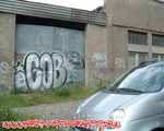 GOB