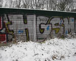 HGS
