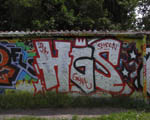 HGS