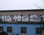 HGS