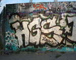 HGS