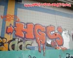 HGS