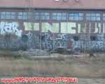 INC (KREUZBERG)