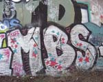 MBS
