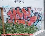 MBS (MITTE)