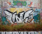 MDK (LICHTENBERG)
