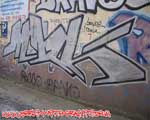 MDK