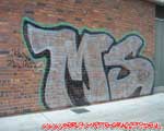 MS (MITTE)