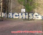MS (MITTE)
