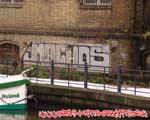 MS (MITTE)