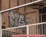 MS (MITTE)