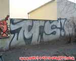 MS (MITTE)