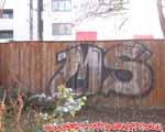 MS (MITTE)