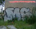 MS (MITTE)