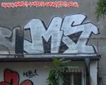 MS (MITTE)