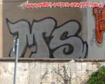 MS (MITTE)