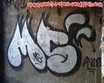 MS (MITTE)