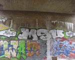 MSU