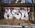 MSU