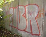 NBR