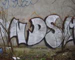 NDS