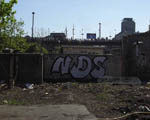 NDS