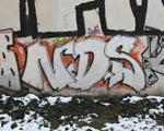 NDS