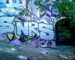 NRS
