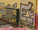 NVE