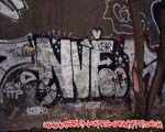 NVE