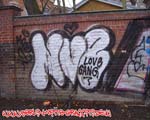 NVE