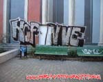 NVE