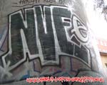 NVE