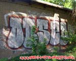 OBS / SED