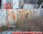OBS (PANKOW)